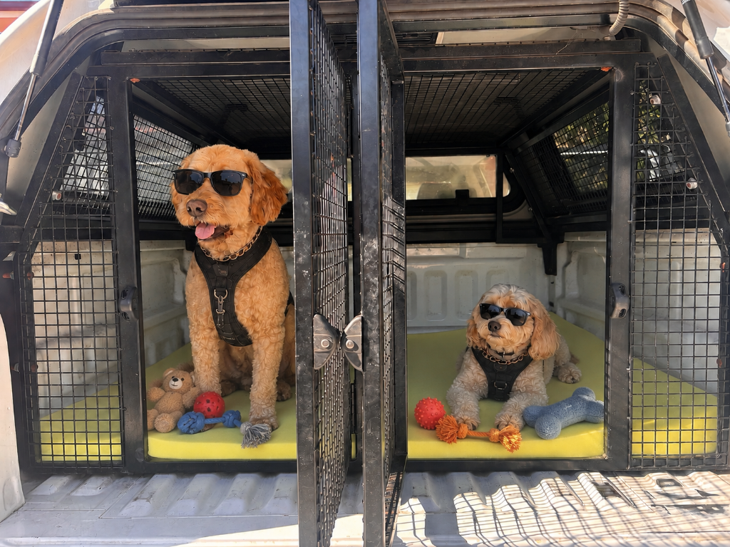 Custom pet transport Ute with air-conditioned canopy and dual secure compartments