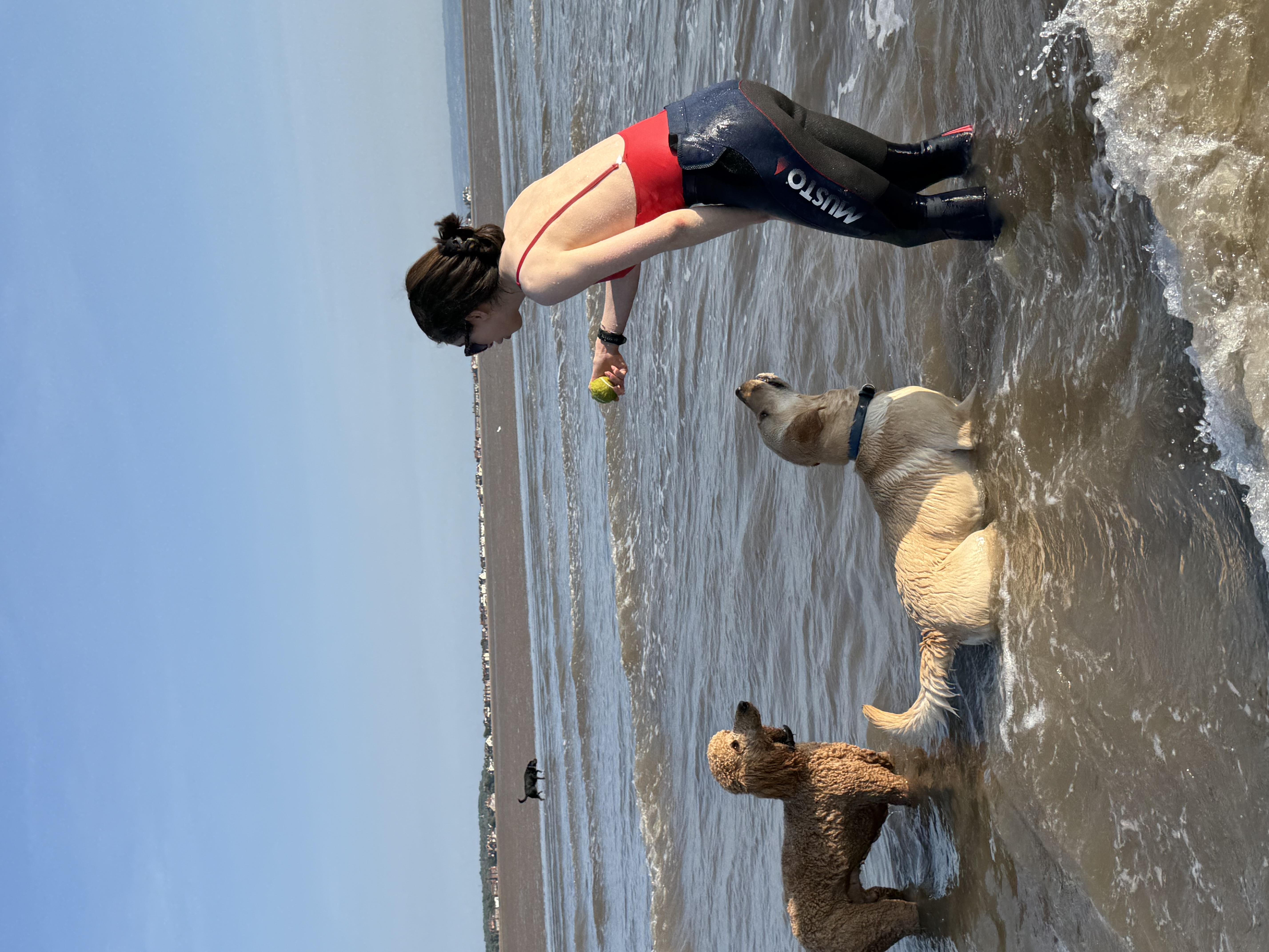 Jessie with dogs at the beach