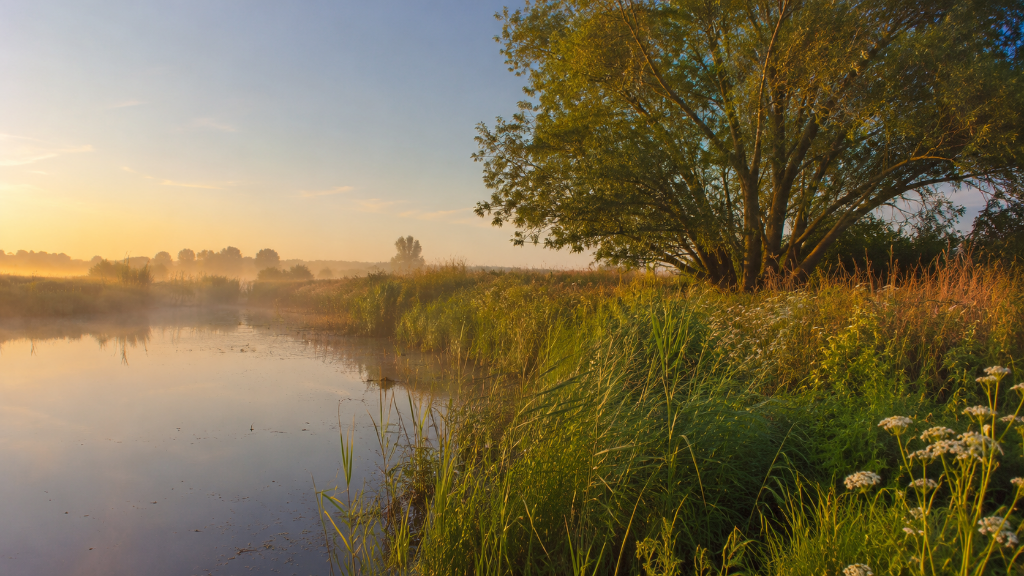 Inheems Nederlands landschap – rustgevende natuur
