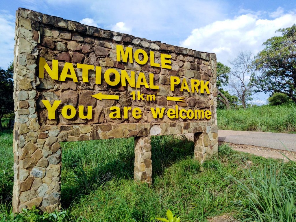 Mole National Park stone welcome sign reading Mole National Park 1km You are welcome