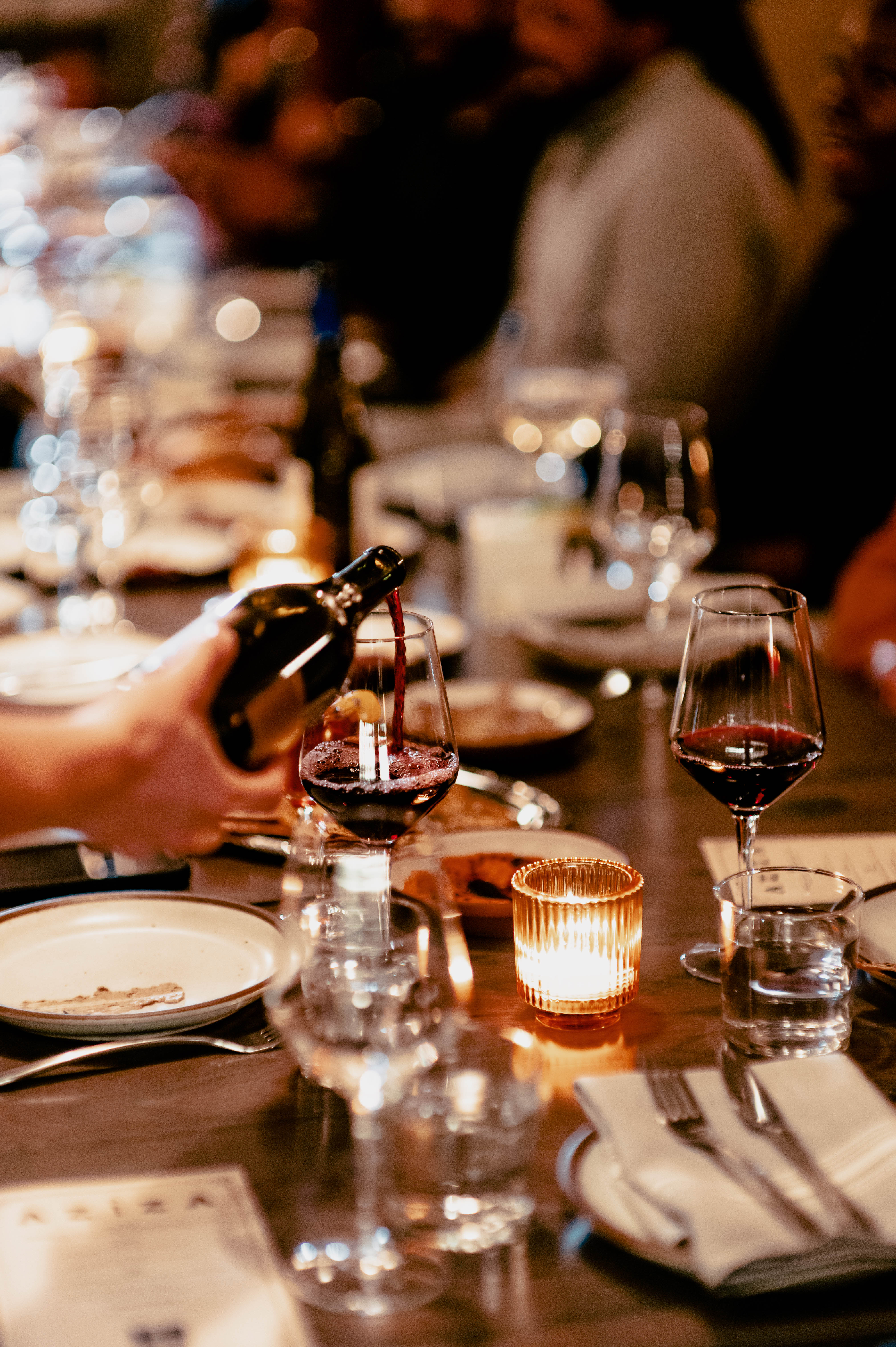 The Palate Discovery
