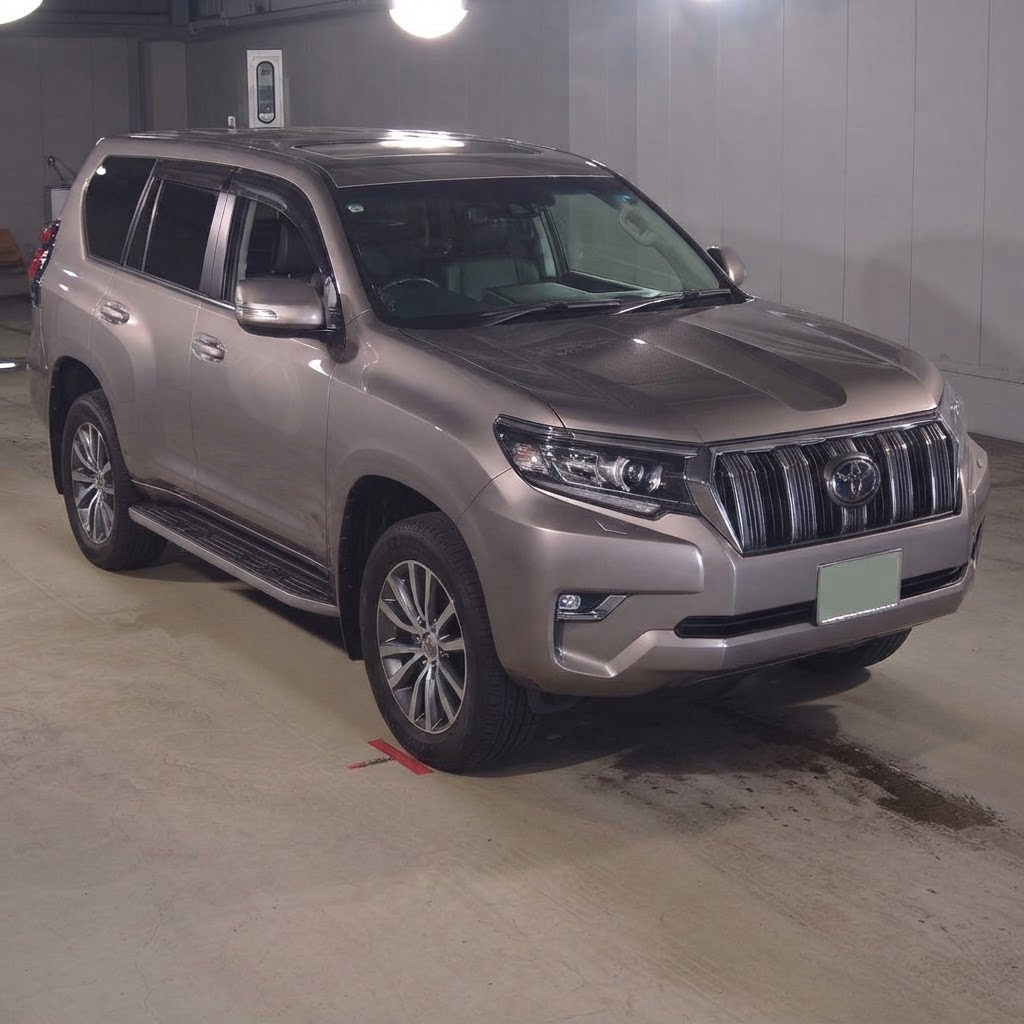 2019 Toyota Land Cruiser Prado TZ-G