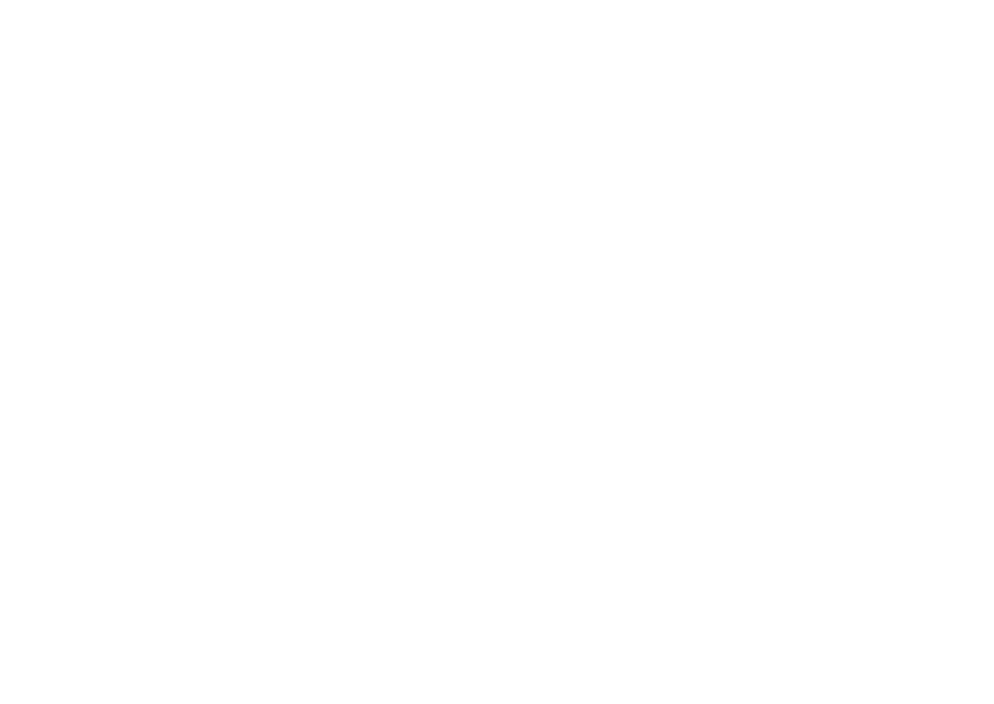 RX-8 PRO