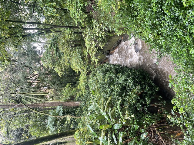 Medellín 3