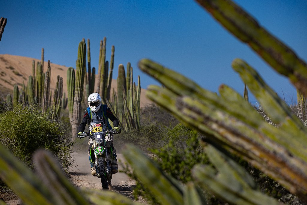 Off-road motorcycle rider navigating a dusty desert trail through cacti