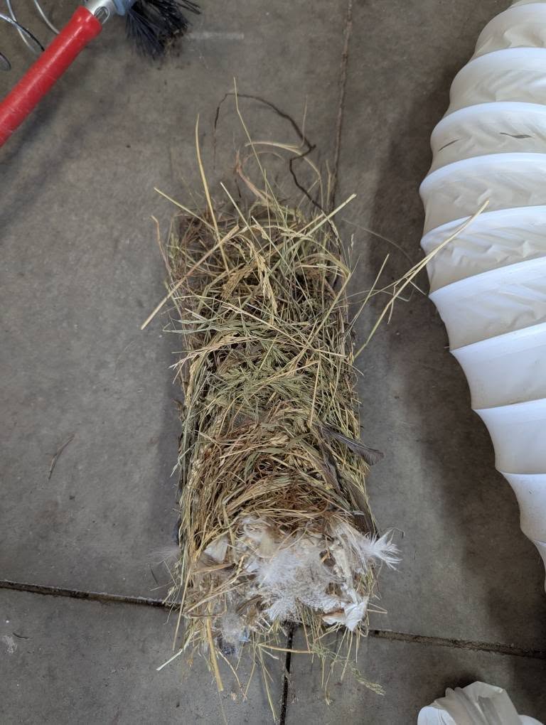Debris Removed