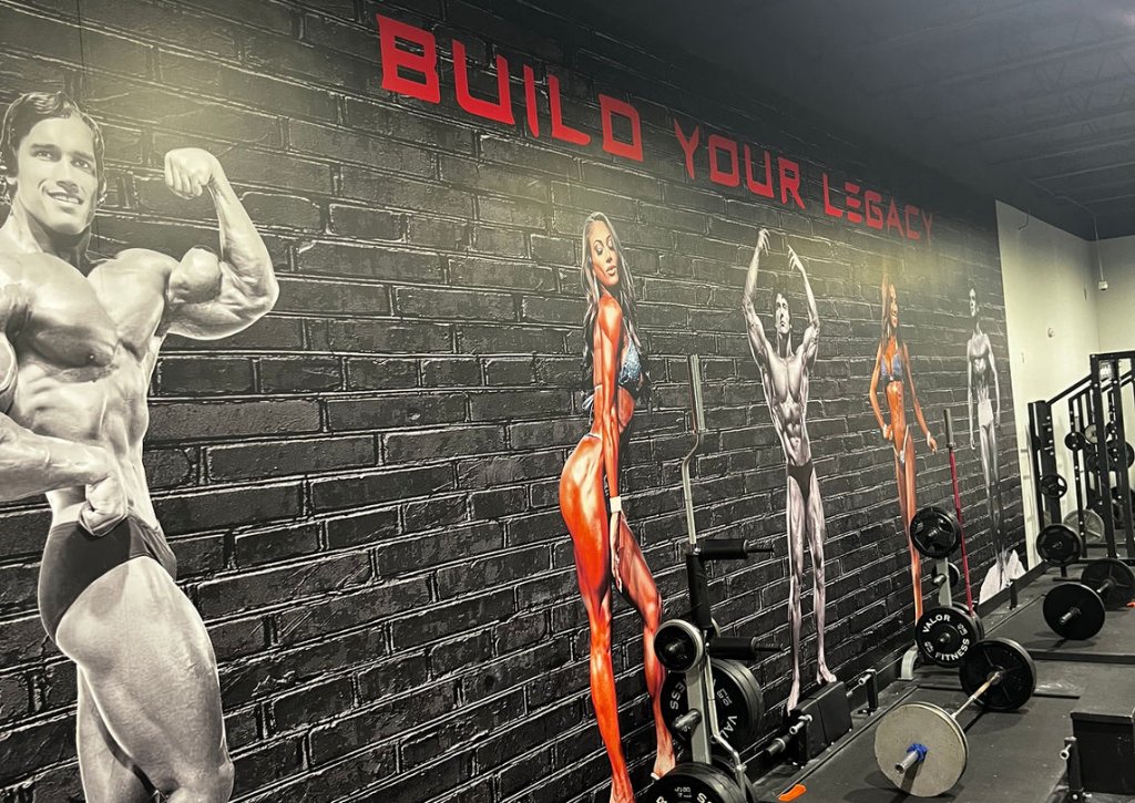 MetroFlex Gym Tampa interior — old-school free weights and plate-loaded equipment at 1041 W Brandon Blvd, Brandon FL