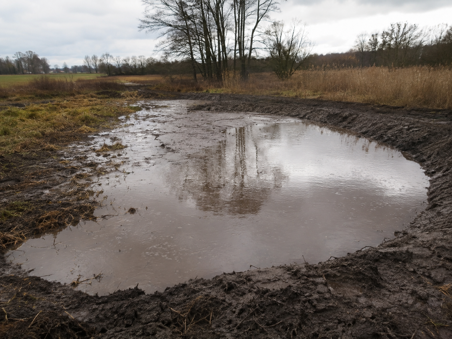Wetland restoration and wildlife area creation project showing a newly excavated wildlife pond with dredged margins and reshaped banks on rural land in Battle, East Sussex — specialist wetland restoration and creation contractors serving Kent and the South East