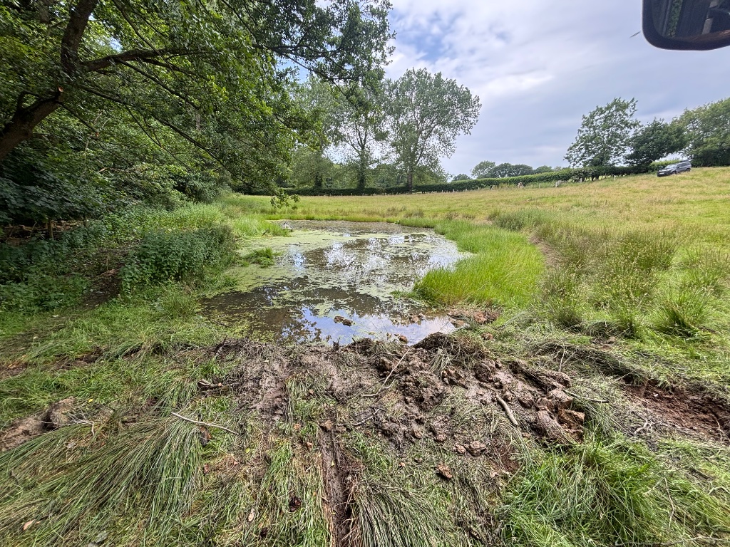 Pond restoration, desilting and wildlife area creation project completed by Subsoil Land & Water in Battle, East Sussex — specialist water management, showing the pond after site clearance with cleared banks and open water