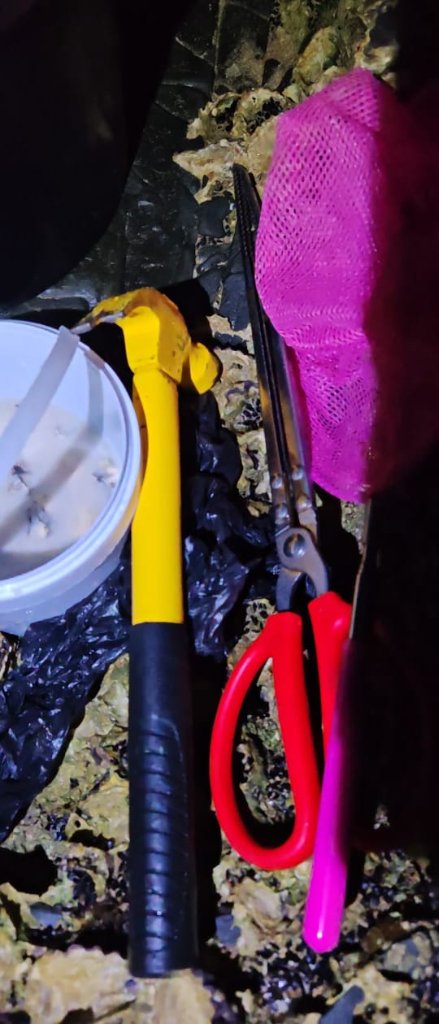Chinese Nationals Apprehended — Widenham/Umkomaas Beach Night Operation