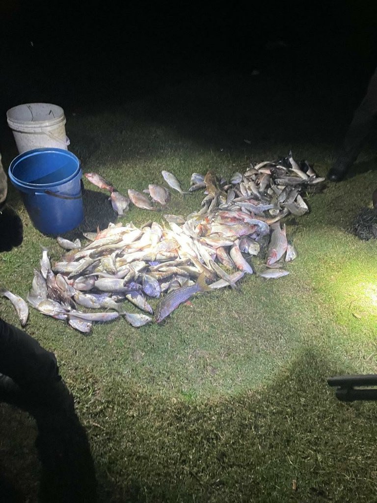 Illegal Gillnetting Suspect Apprehended — South Coast