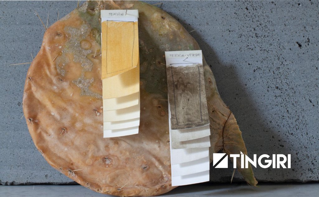 Campioni di pigmento Terra e Terra Verde su foglia di fico d'india – Tingiri acquerelli artigianali