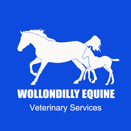 Wollondilly Equine