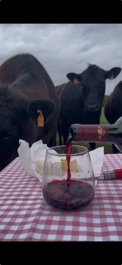 Dégustation vins et fromages en Normandie
