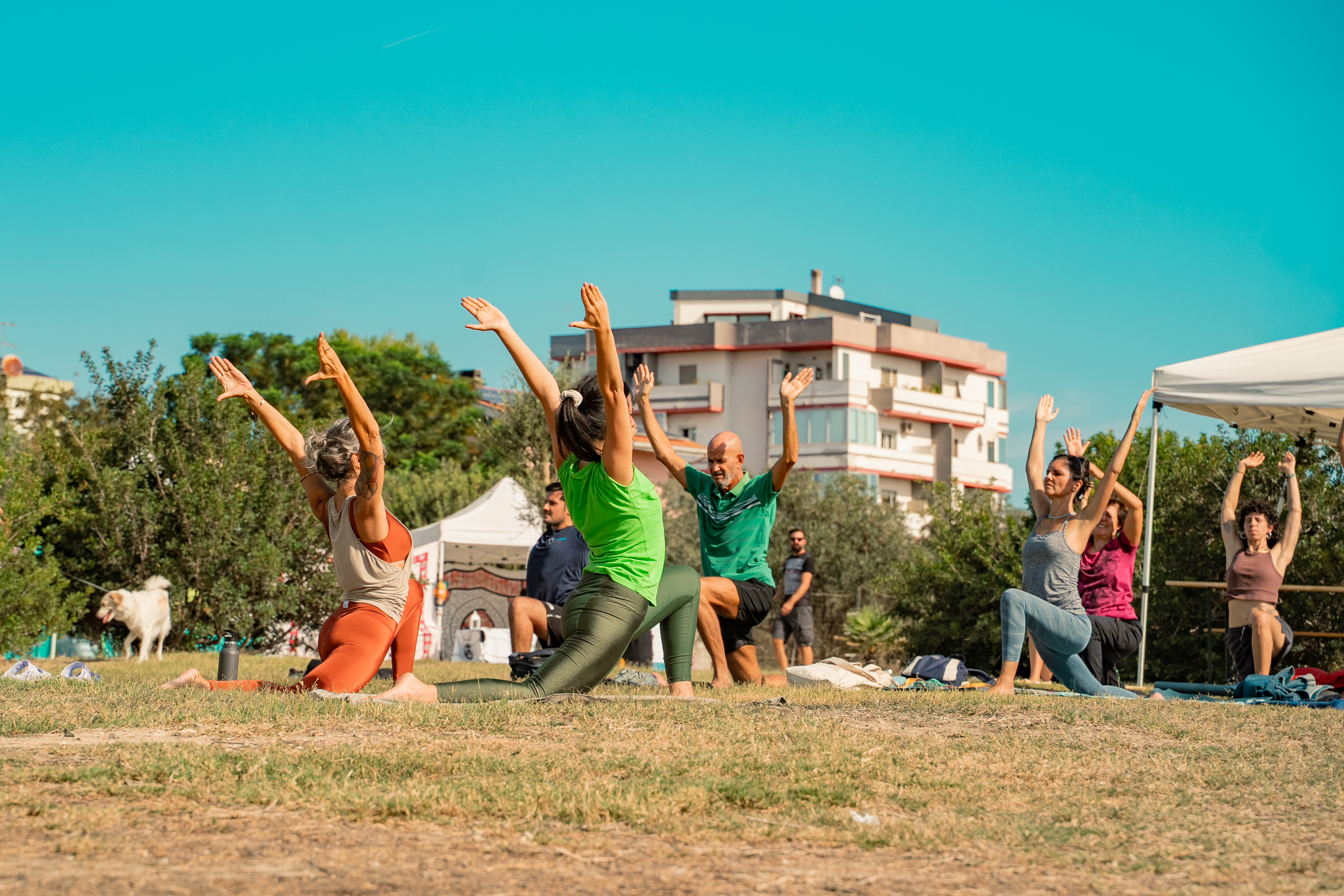 Risveglio Yoga 3