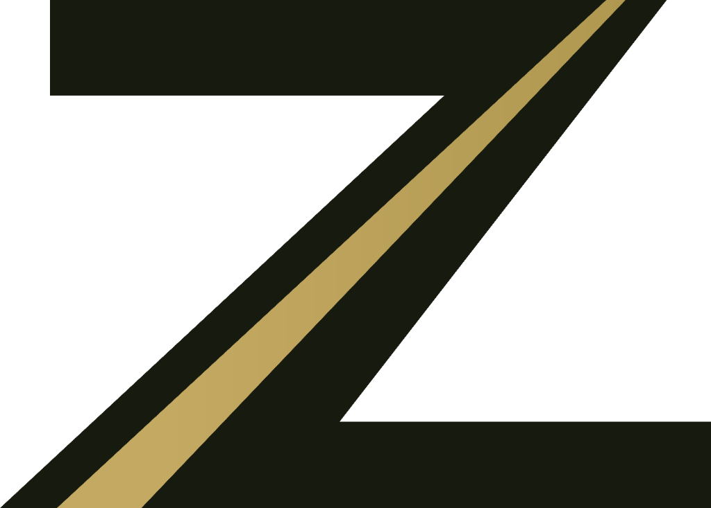 The Zone Logo