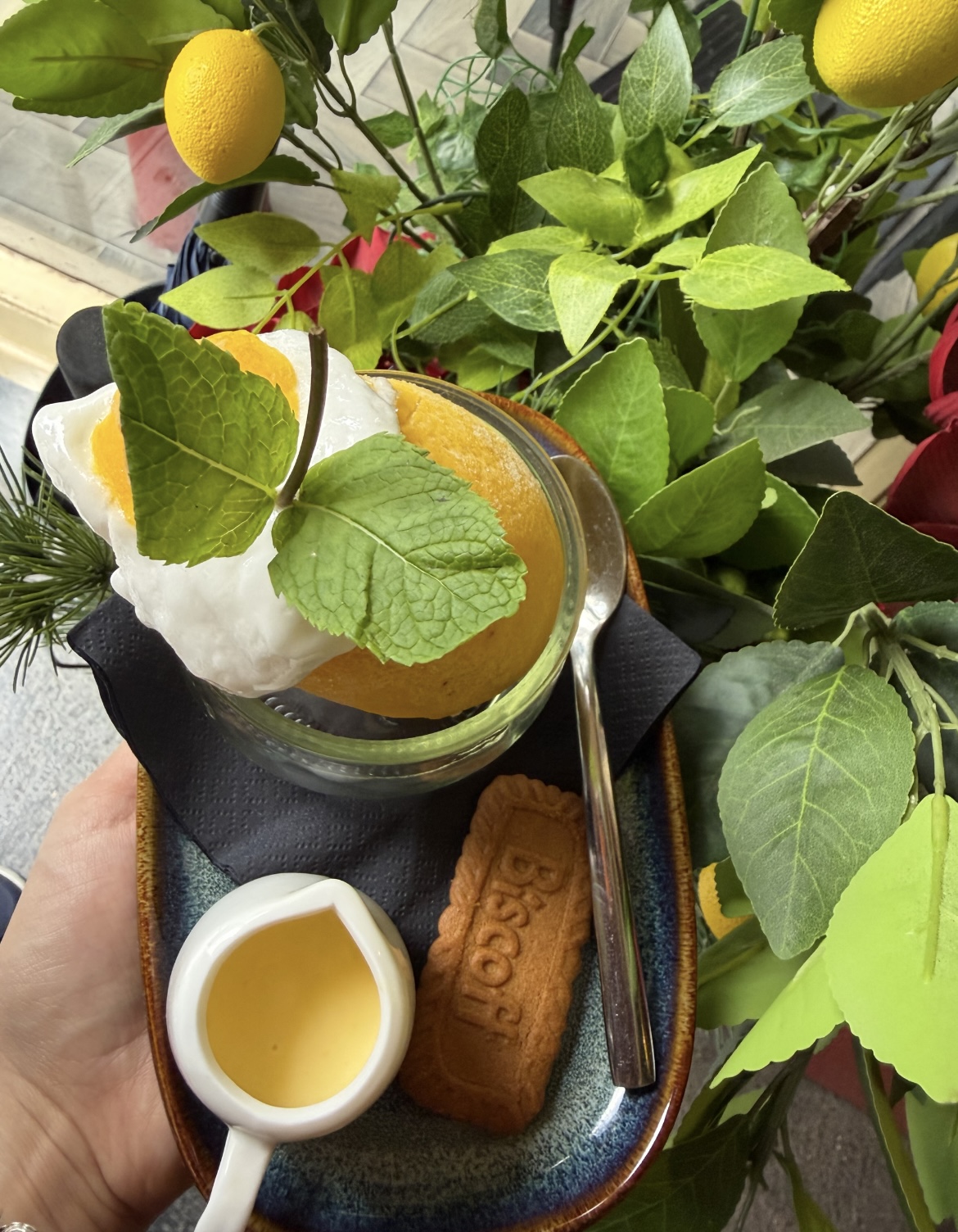 Lemon sorbet dessert at Caffè 500 Kilkenny