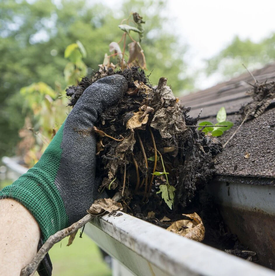 Gutter cleaning and repair