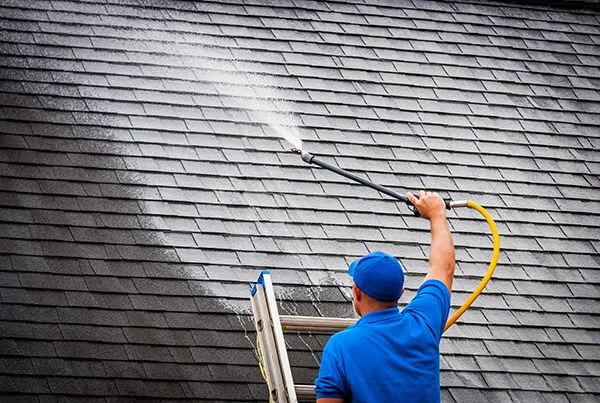 Roof Washing & Treatment
