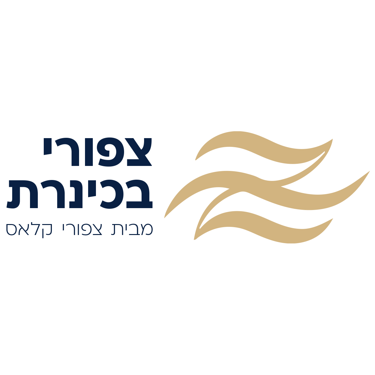 צפורי בכנרת