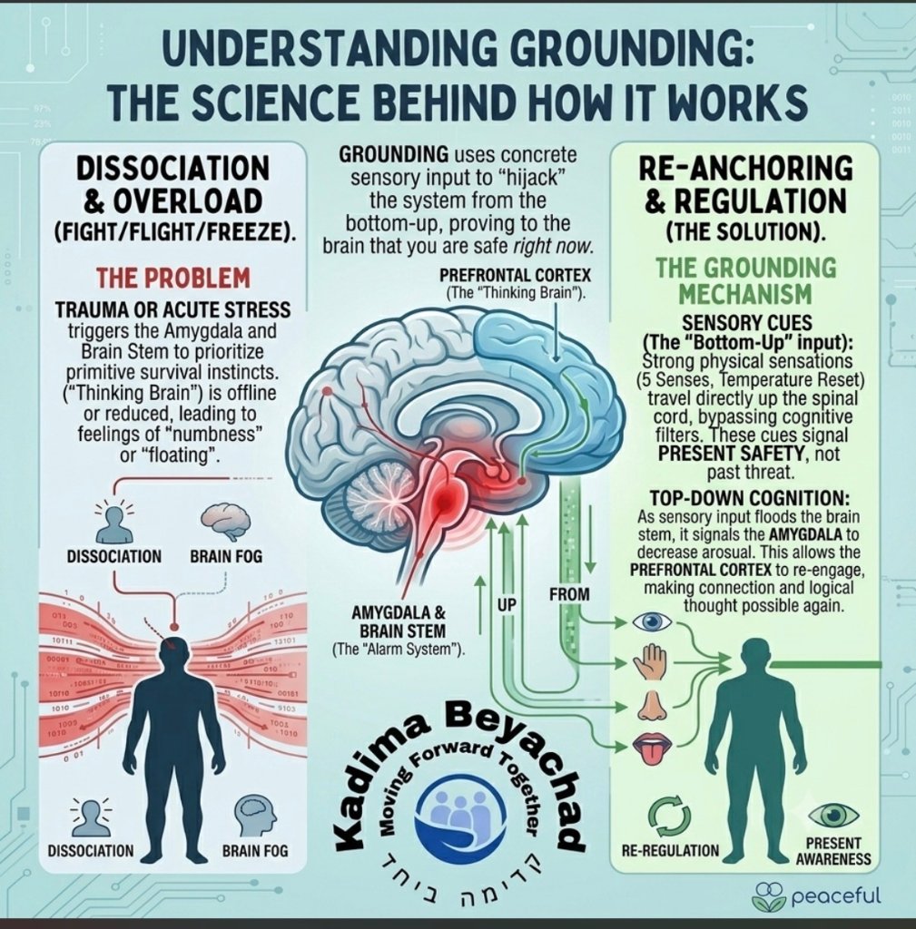 Understanding Grounding: The Science Behind How It Works