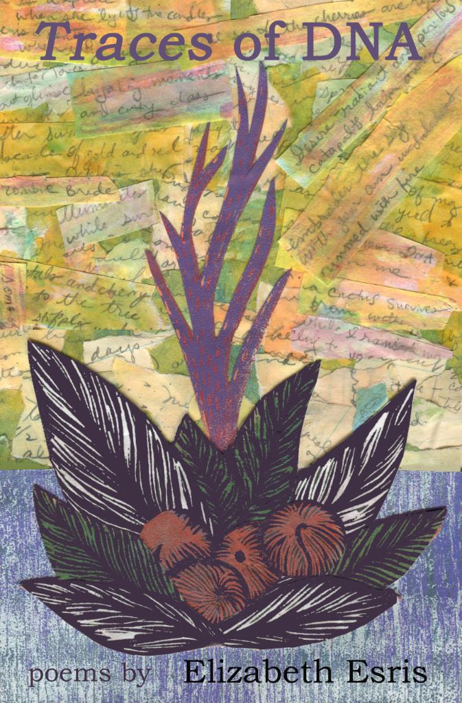Traces of DNA book cover