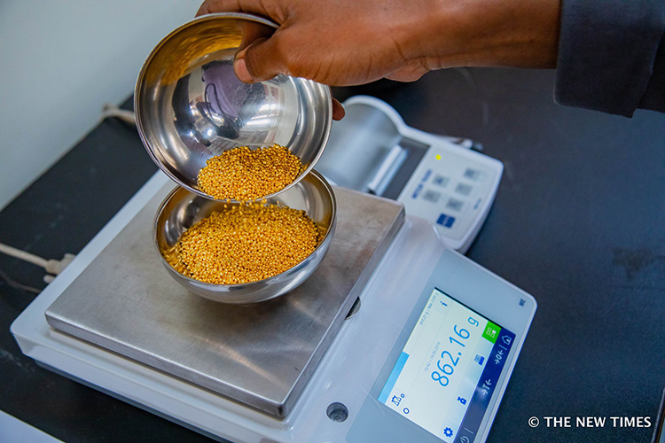 Gold Refining