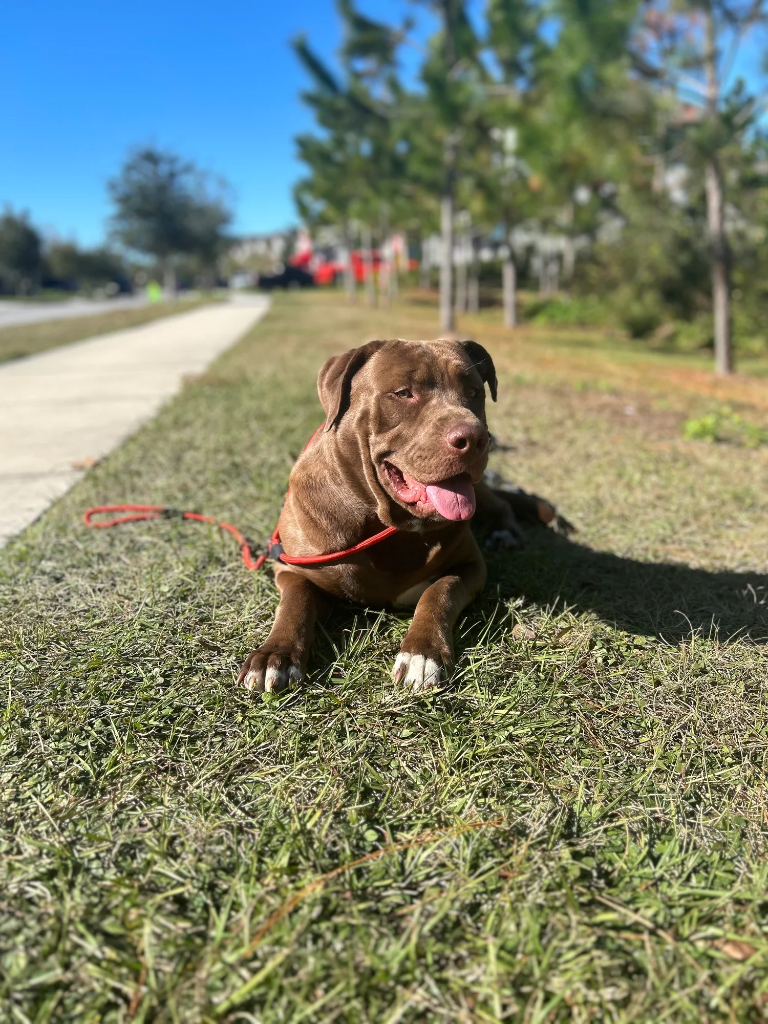 Oscar