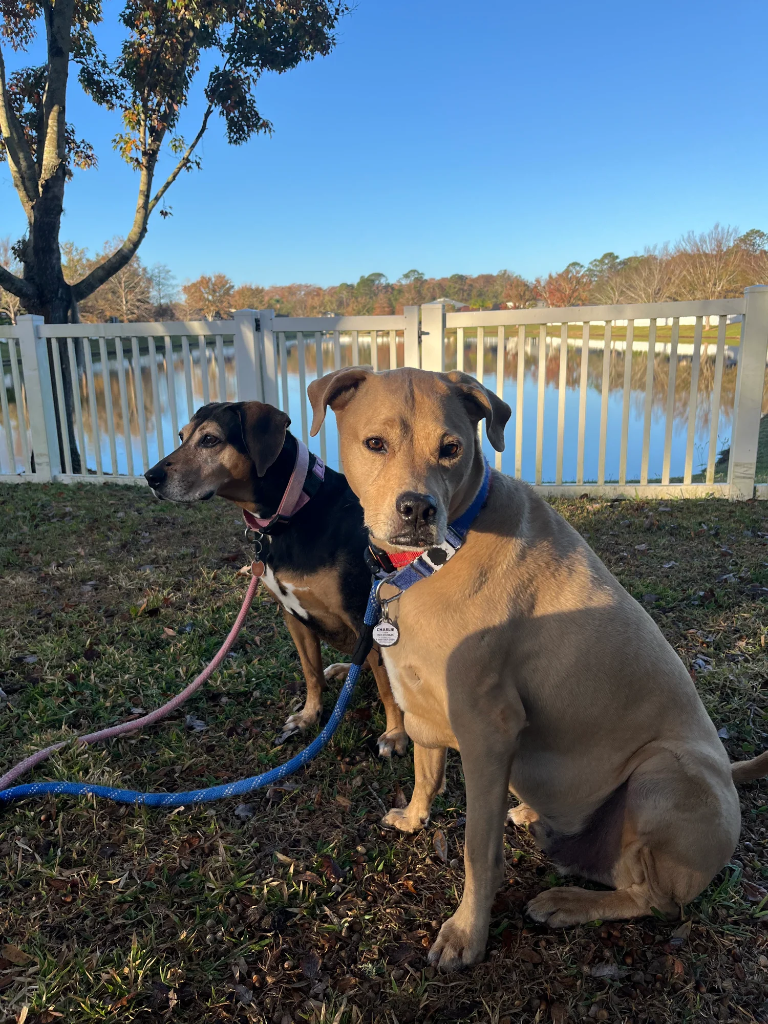 Max & Bella