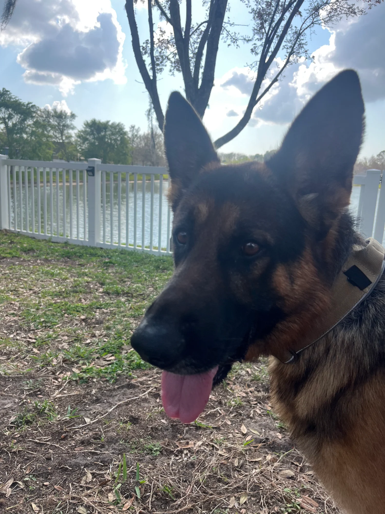 Zeus