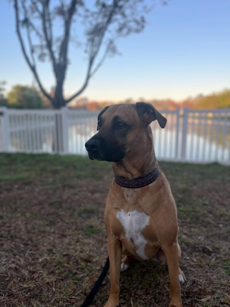 Esther