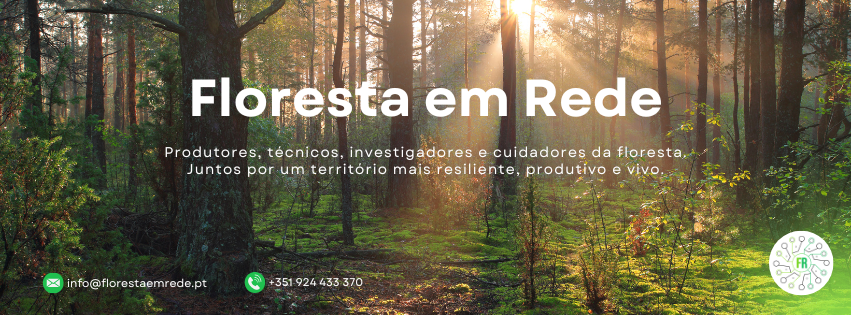Floresta em Rede