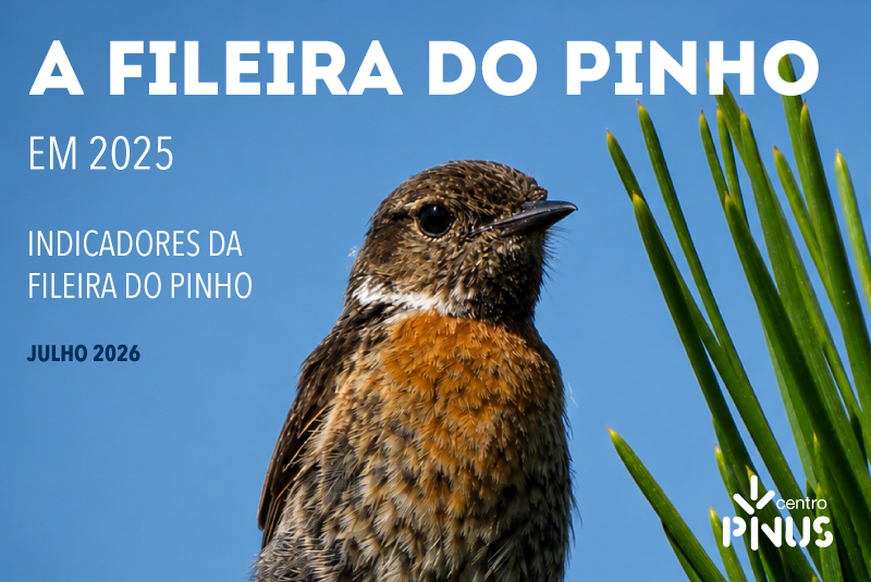 Centro PINUS publica a 11.ª edição dos Indicadores da Fileira do Pinho