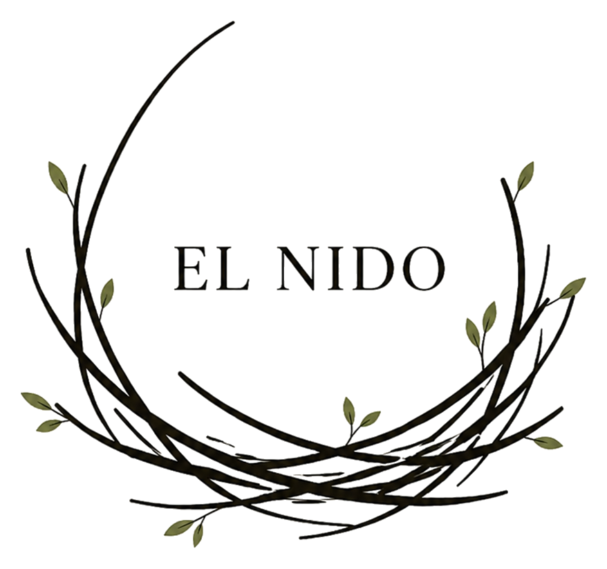El Nido — a hand-drawn nest with olive leaves