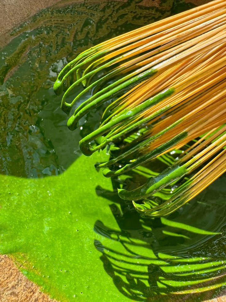 MATCHA MISU MAROC — Grade Cérémonial · matcha bio cérémonial au Maroc