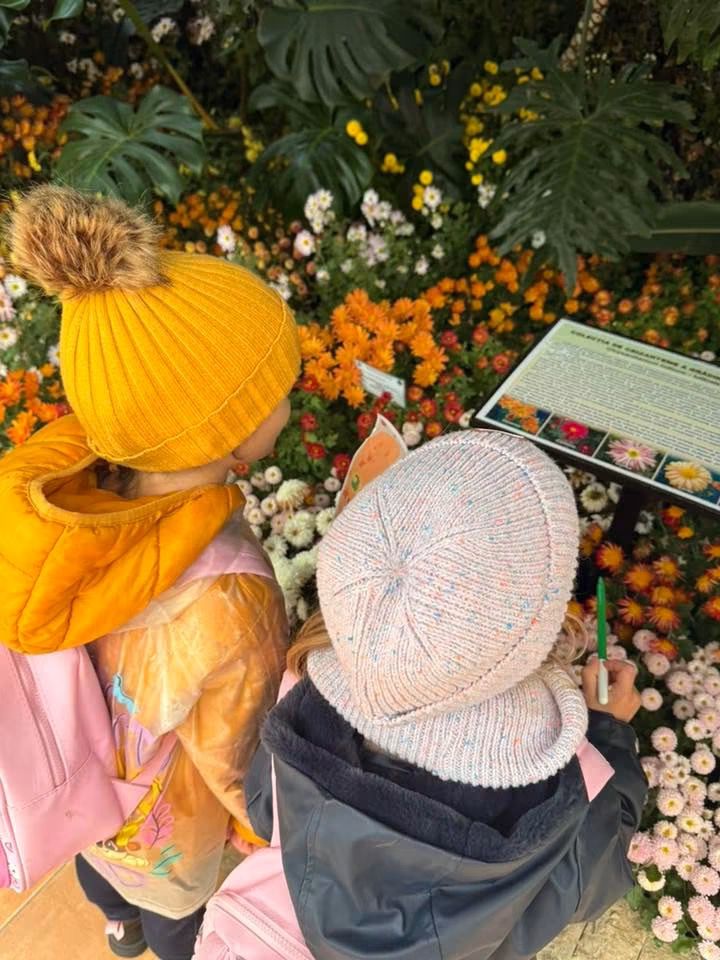 Flori de toamnă — imagine 12