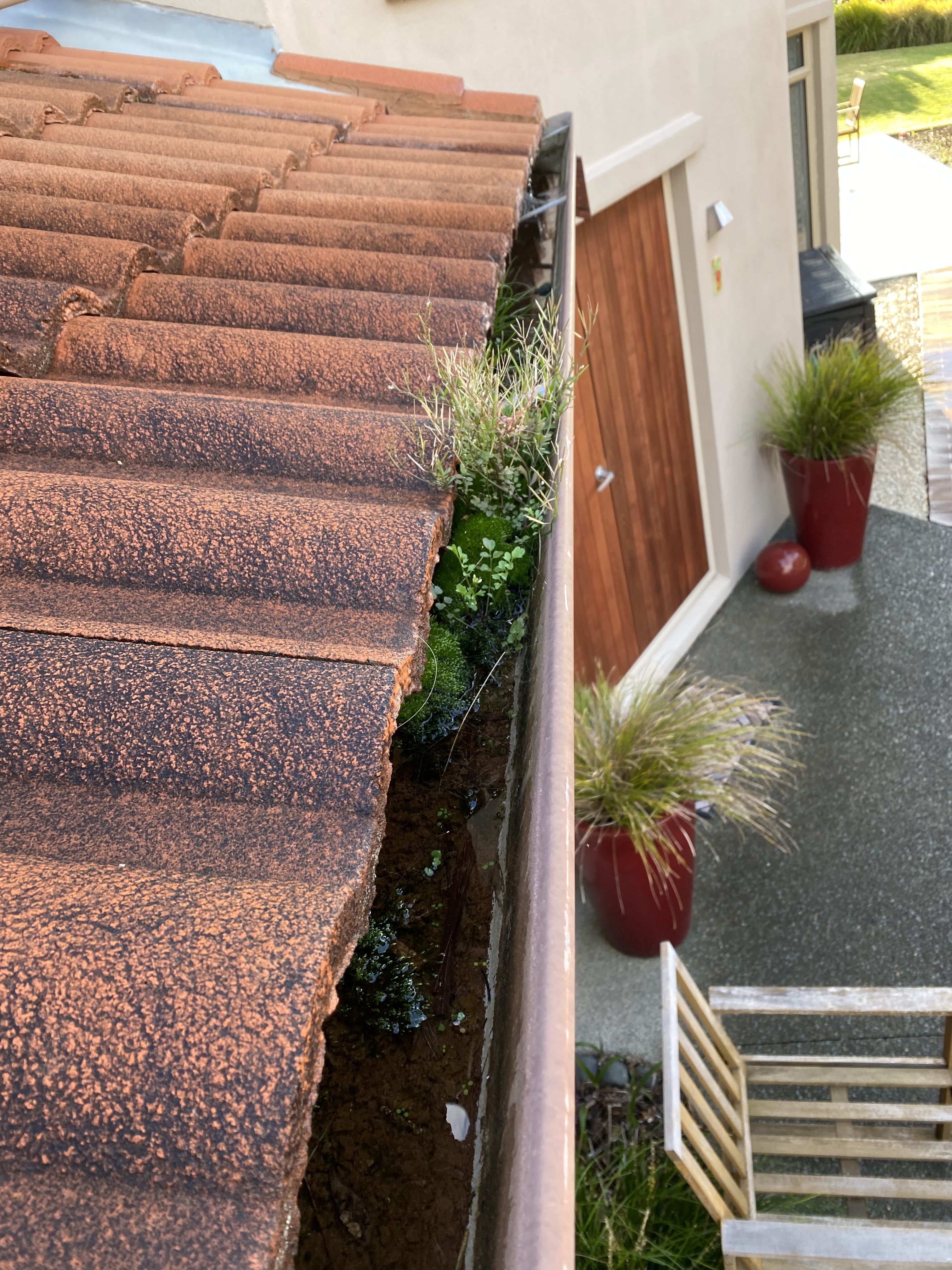 Gutter Cleaning