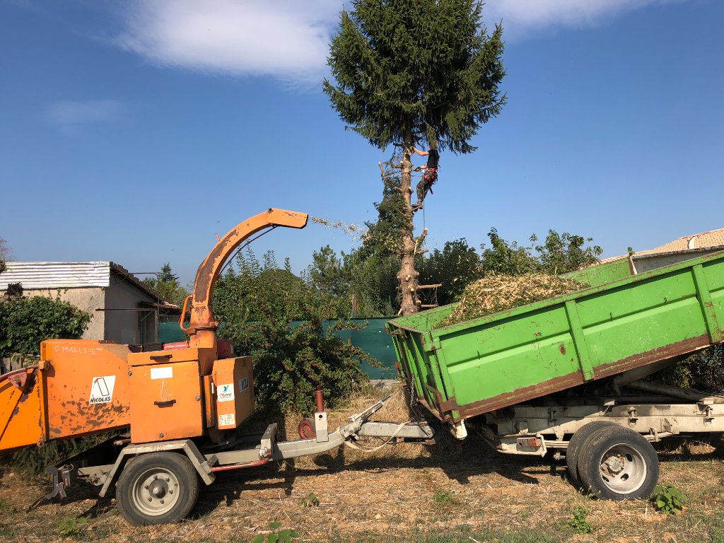Broyage de végétation avec broyeur professionnel orange
