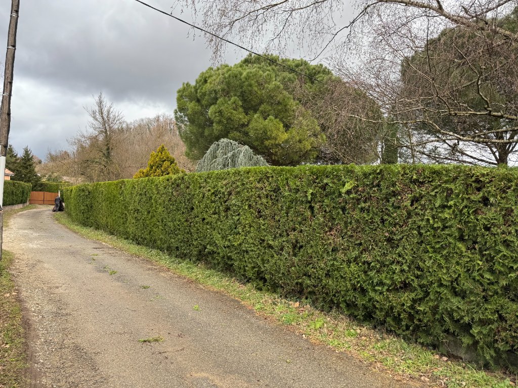 Création de terrain pétanque avec revêtement stabilisé