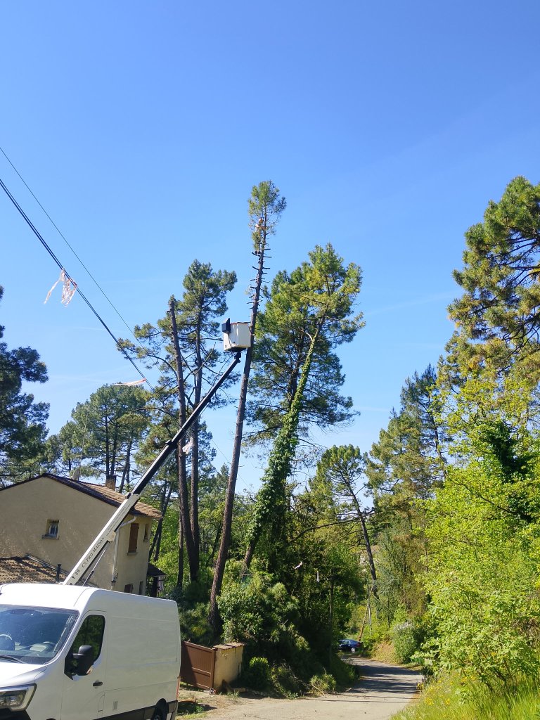 Vue panoramique élagage avec nacelle et camion