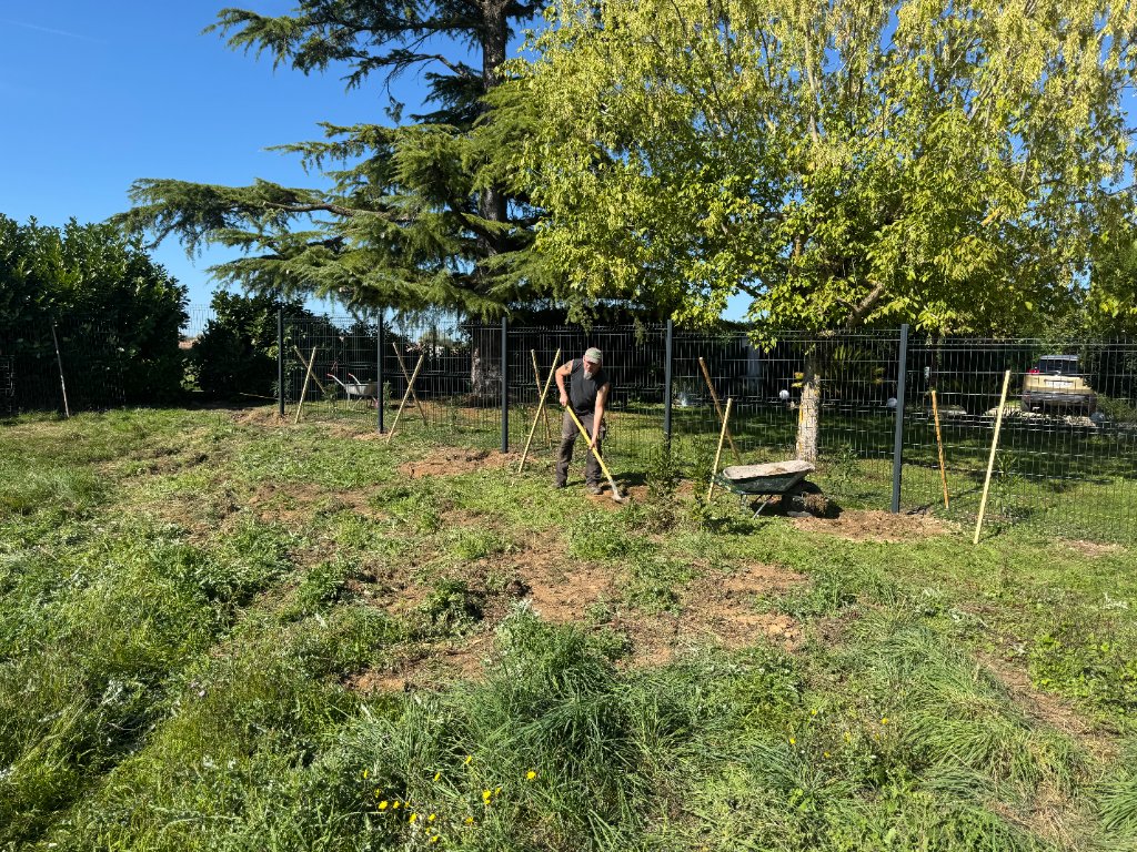 Plantation et création d'espace vert – travail à la pelle
