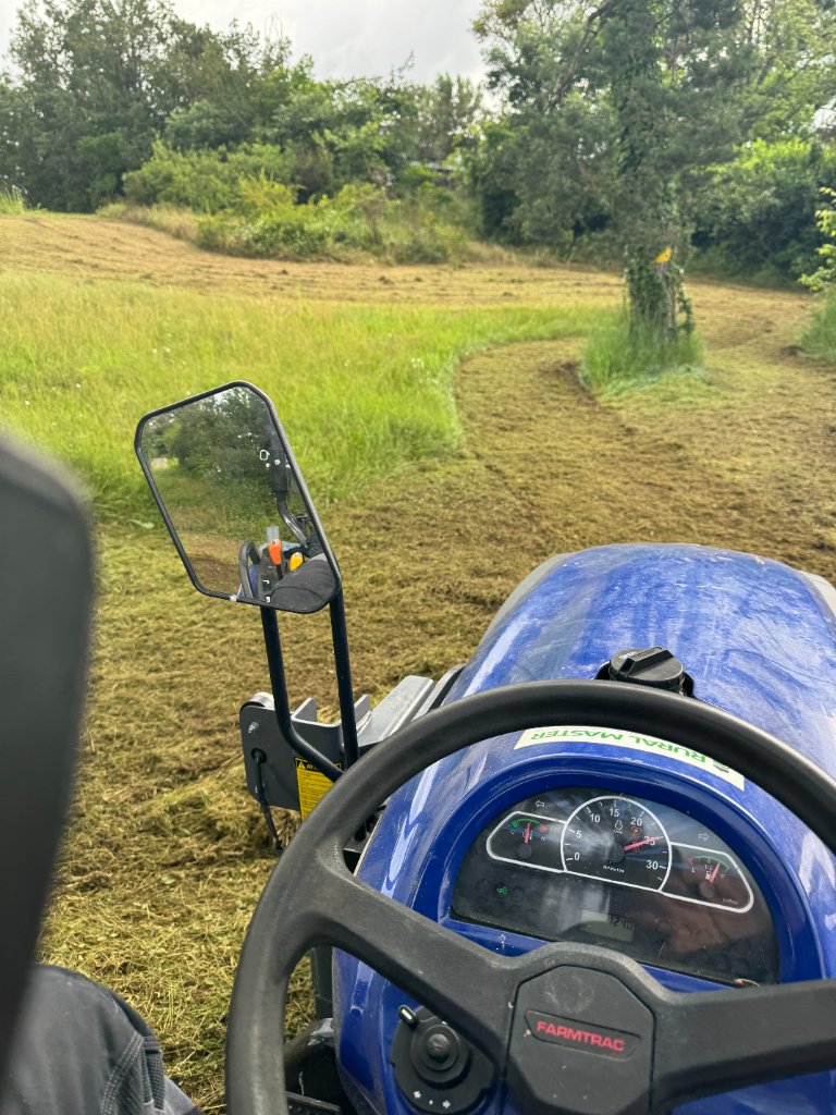 Élagage de pin en hauteur avec nacelle