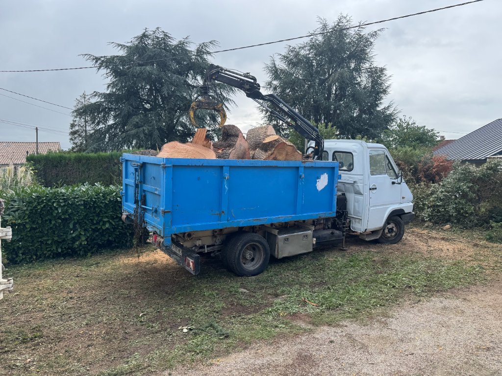 Démontage de pin en hauteur – travaux en cordes