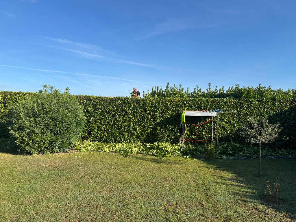 Taille de grande haie sur échafaudage, pelouse impeccable