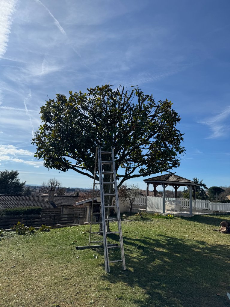 Massif arrondi avec pierres naturelles, yuccas et galets autour de piscine