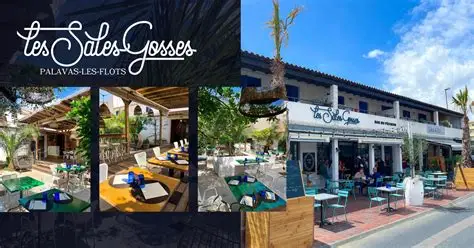 Logo Les Sales Gosses