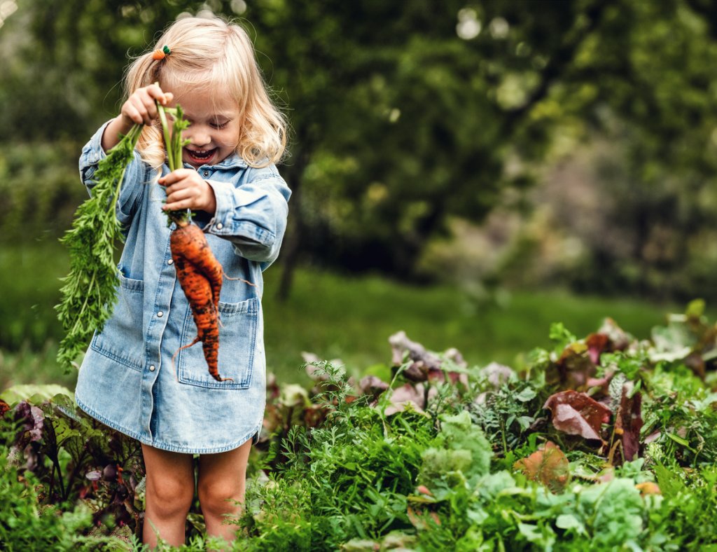 Kinderernährung und körperliche Aktivität: Grundlagen für die kindliche Entwicklung