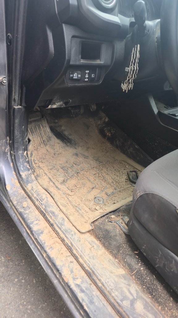 Vehicle Mold Remediation
