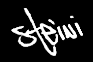 Steini signature
