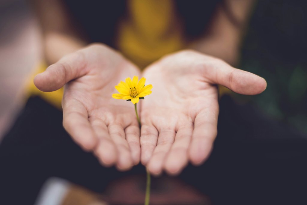The Power of the Present Moment in Daily Life
